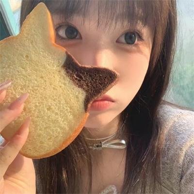冒牌总统